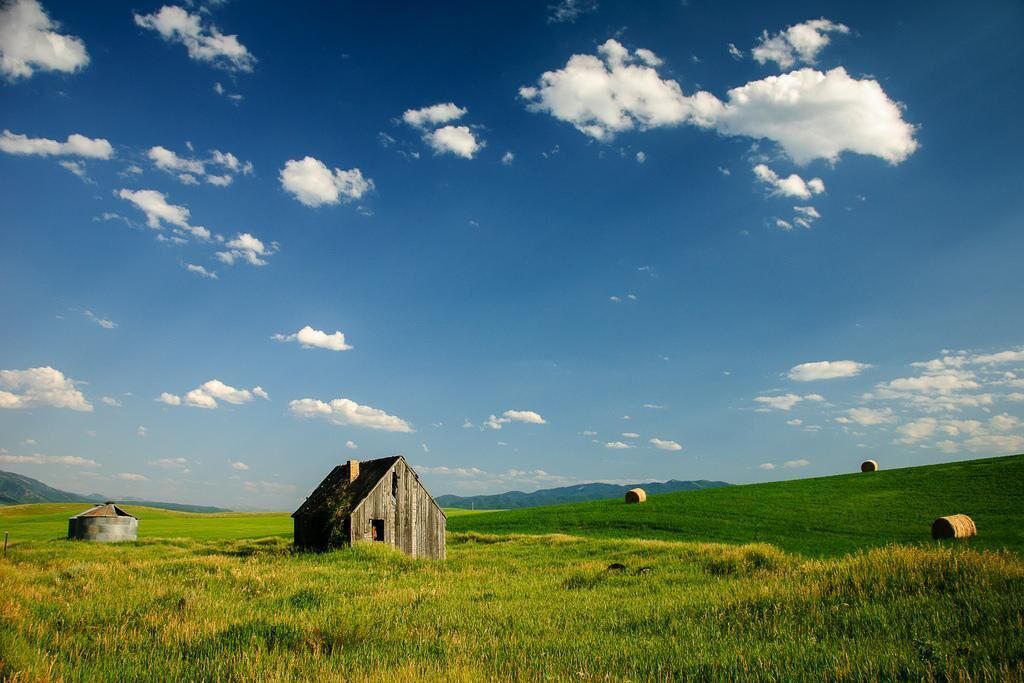 #41. Idaho